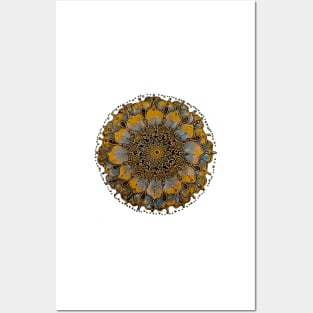 Cosmic Sunflower Starseed Posters and Art